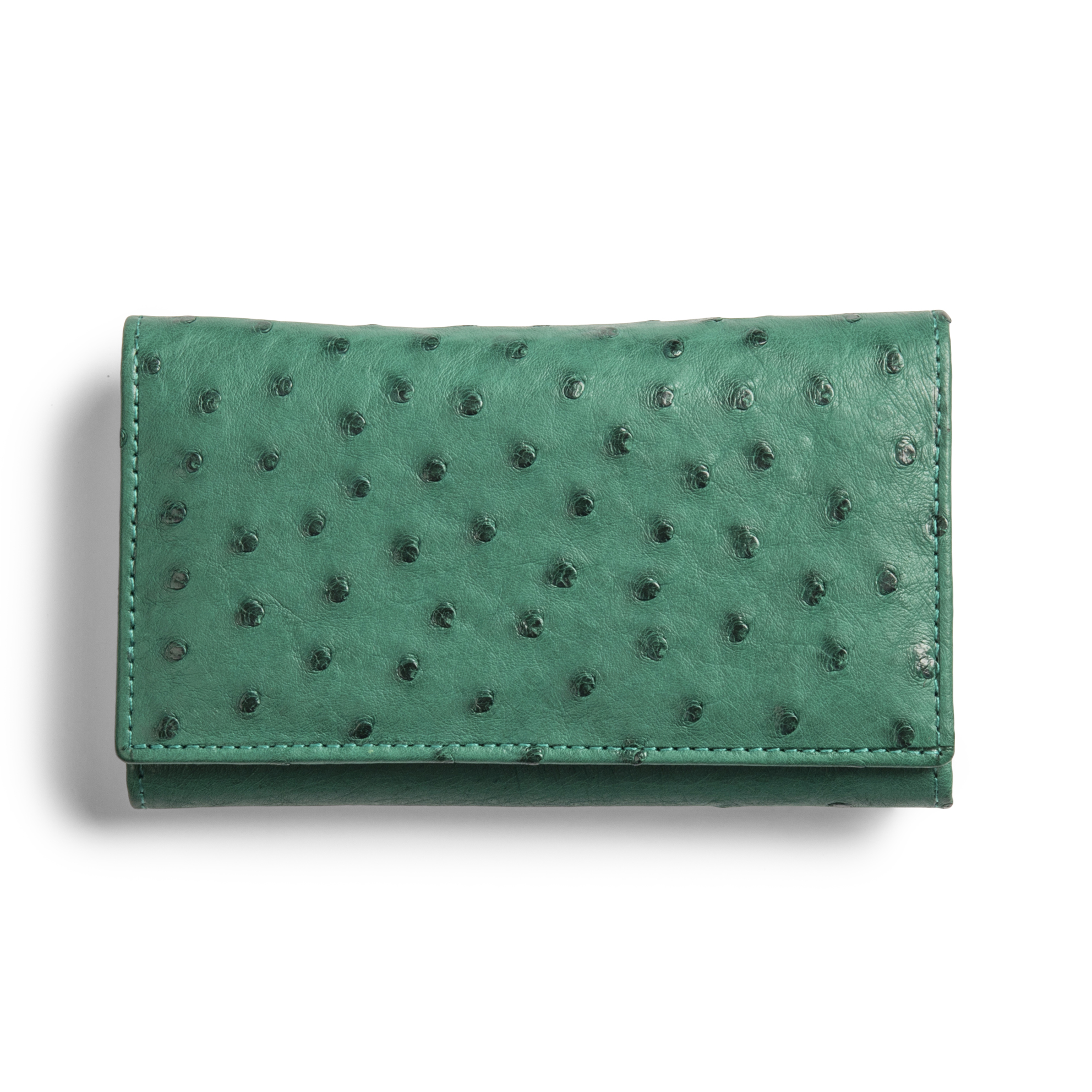 Fold-out Purse
