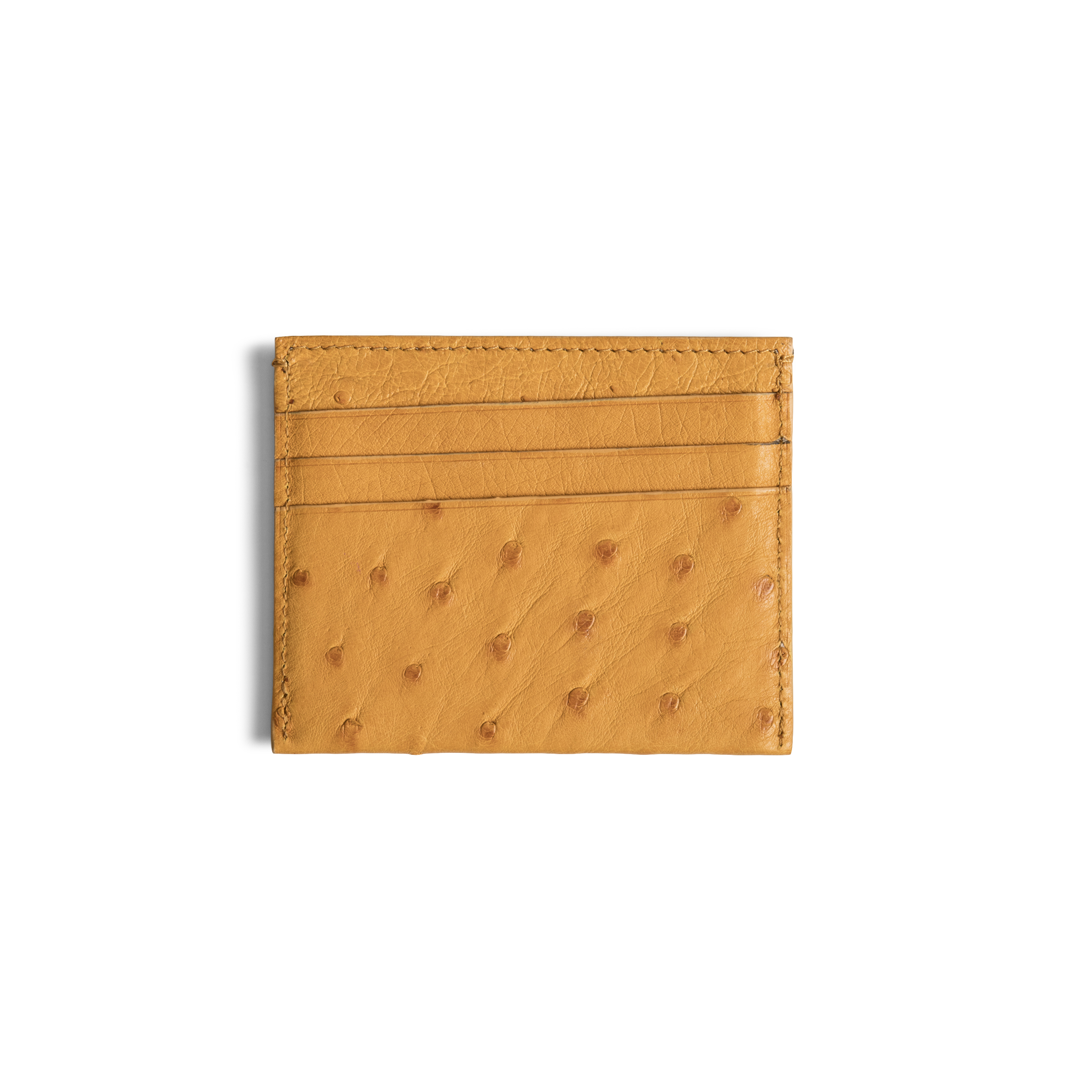 Credit Card Sleeve