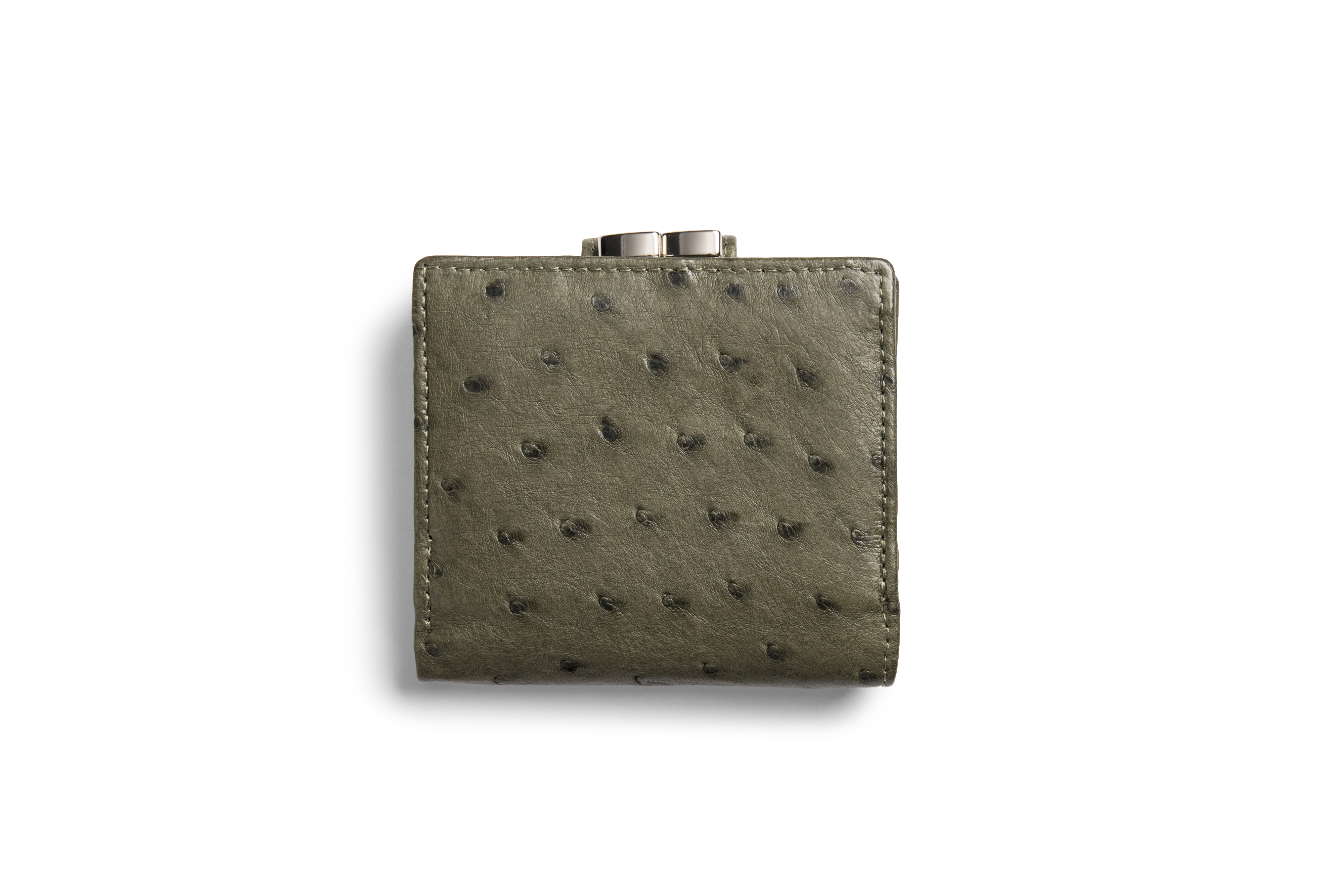 Frame Purse
