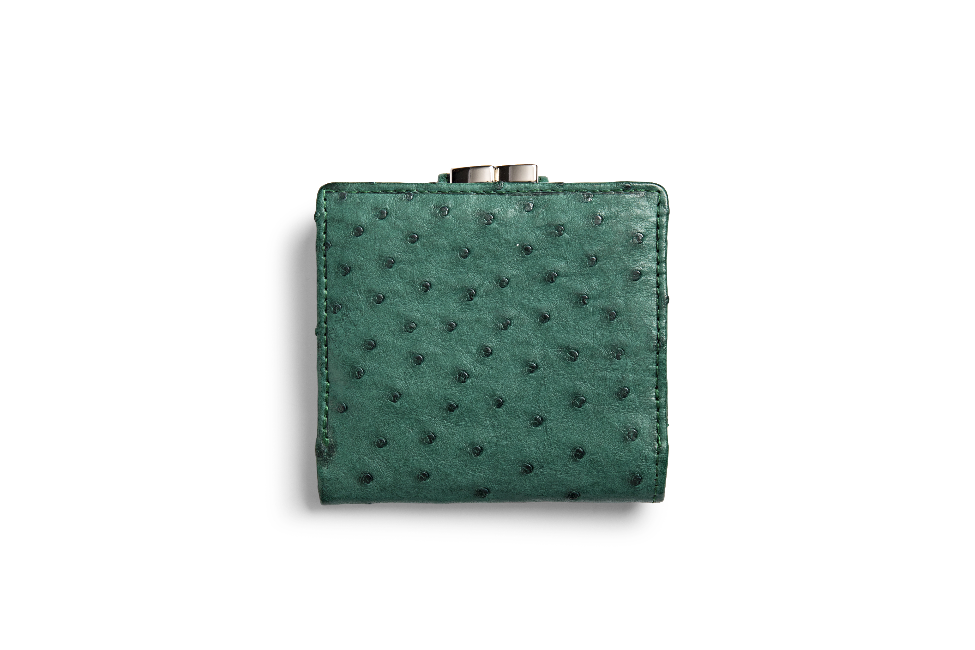 Frame Purse
