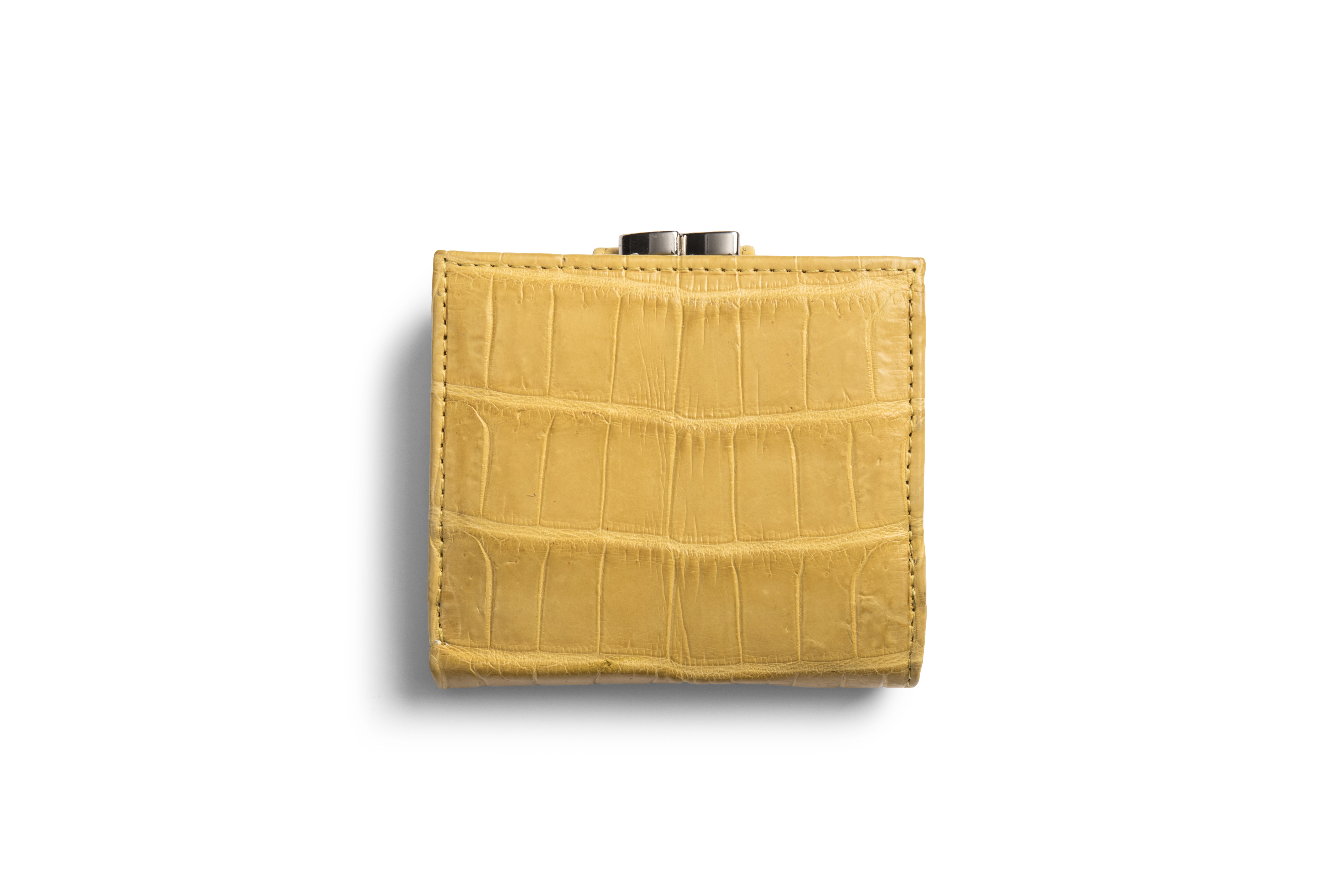 Frame Purse