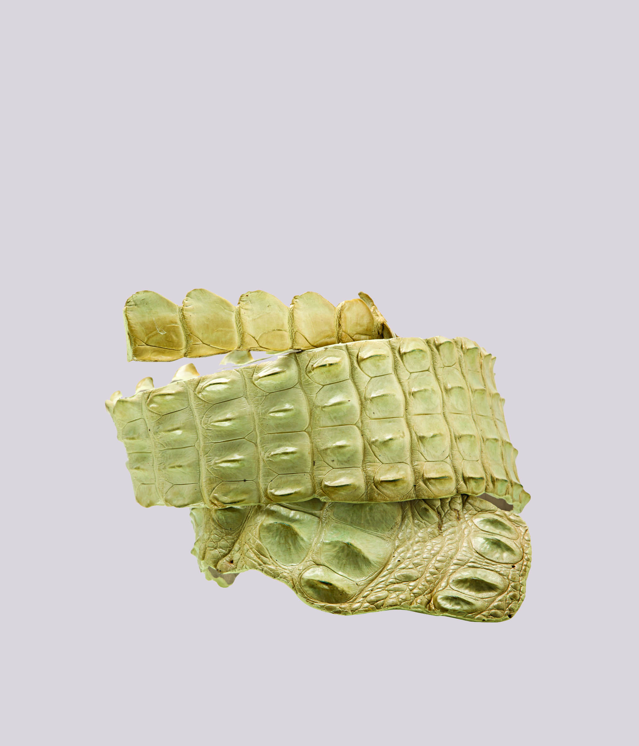 Crocodile waist Belt